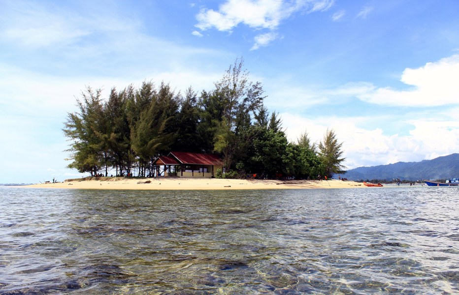 Koordinasi pelaksanaan kegiatan